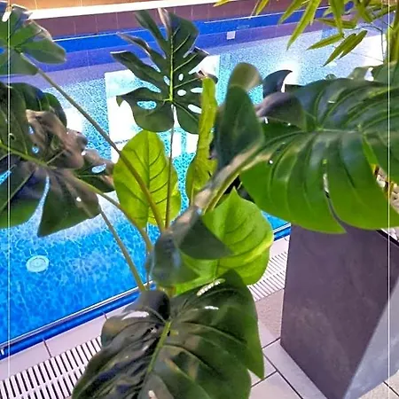 Resort Dworek Prawdzic