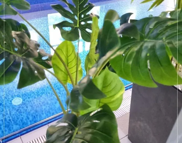 Resort Dworek Prawdzic